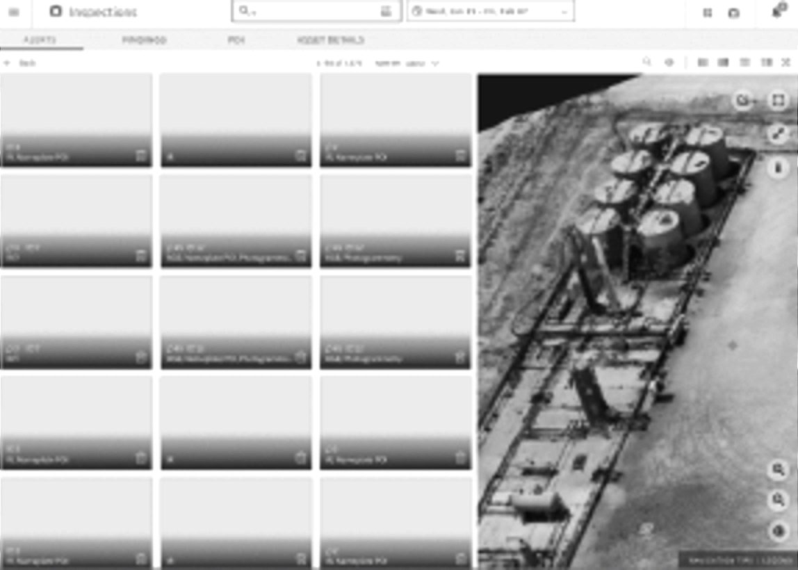 Inspection image view